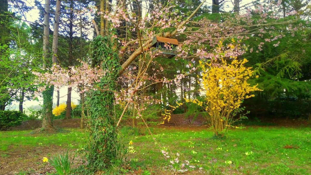 Tuscan Hills - Stonehouse, Garden & Pool فيتشو المظهر الخارجي الصورة