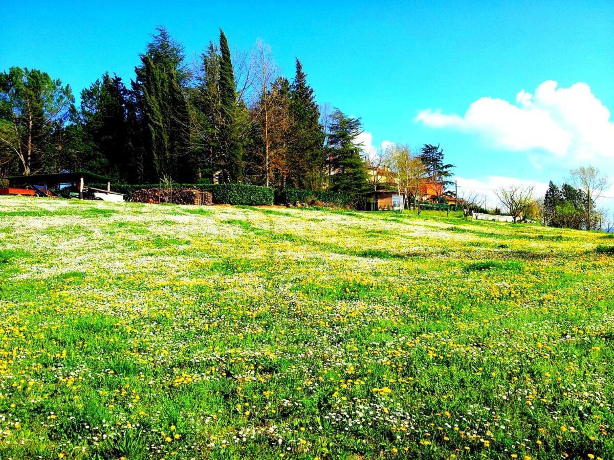Tuscan Hills - Stonehouse, Garden & Pool فيتشو المظهر الخارجي الصورة
