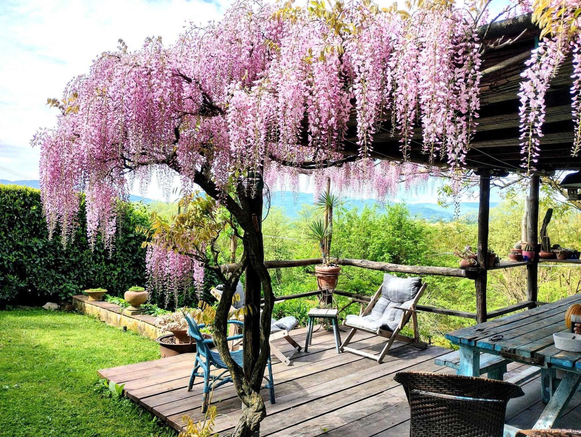 Tuscan Hills - Stonehouse, Garden & Pool فيتشو المظهر الخارجي الصورة